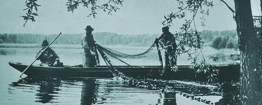 Fischerei am Altrhein
